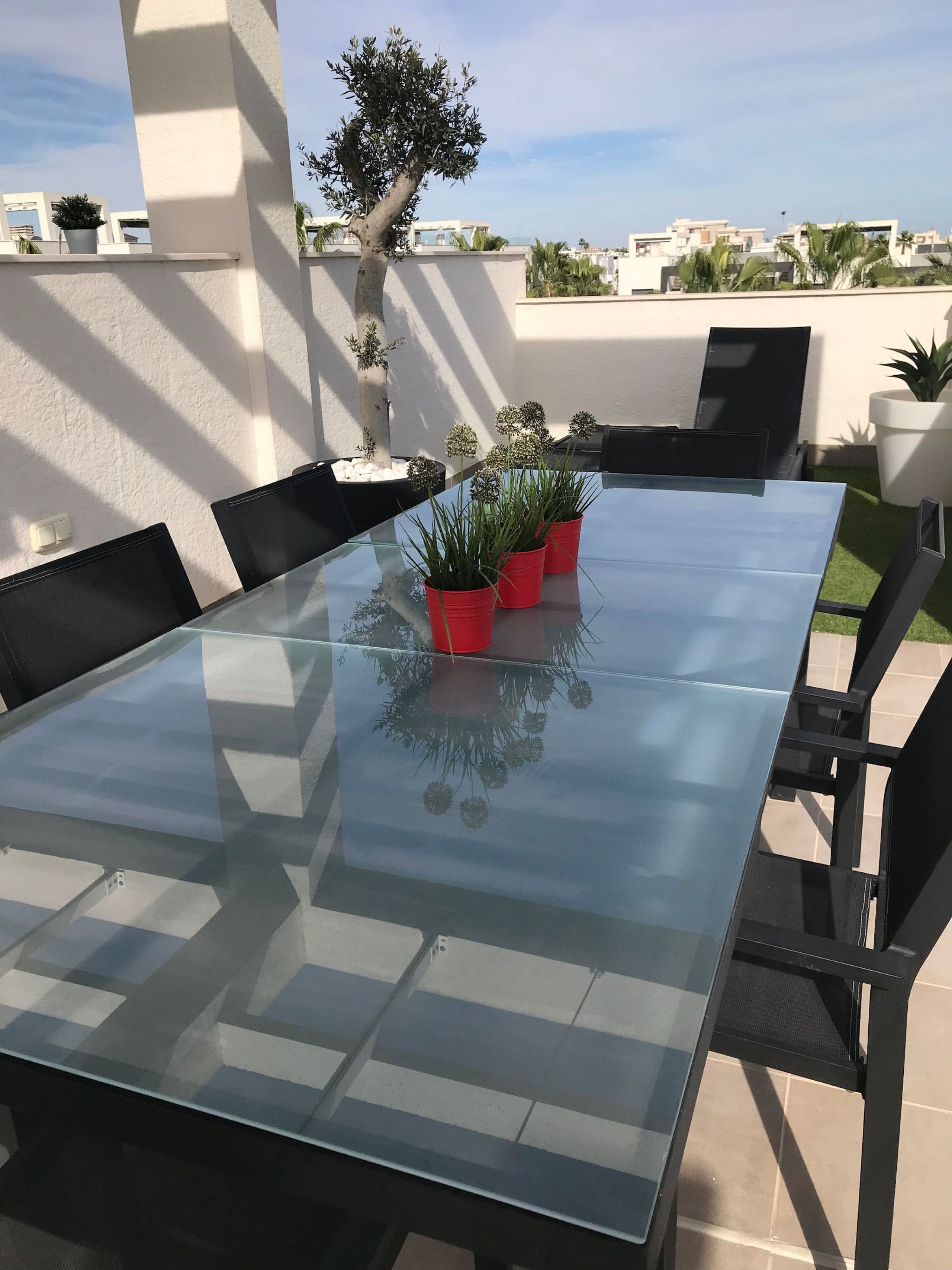 Una mesa con cubierta de vidrio y sillas negras, rodeada de macetas y un árbol.