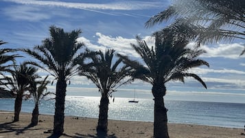 Une plage bordée de palmiers, sous un ciel dégagé.