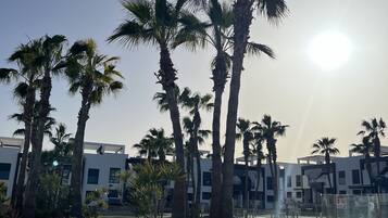 Zona ajardinada con palmeras y un edificio moderno al fondo.