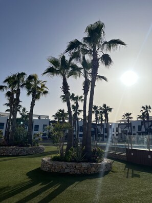 A landscaped area with palm trees and a modern building in the background.
