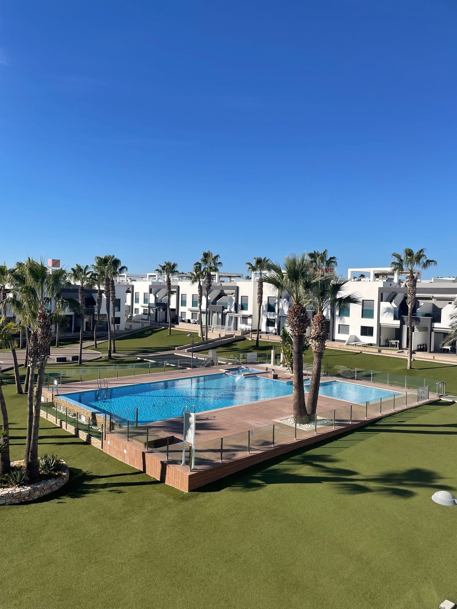 Un área de piscina con dos piscinas rectangulares, rodeada de palmeras y un césped bien cuidado.