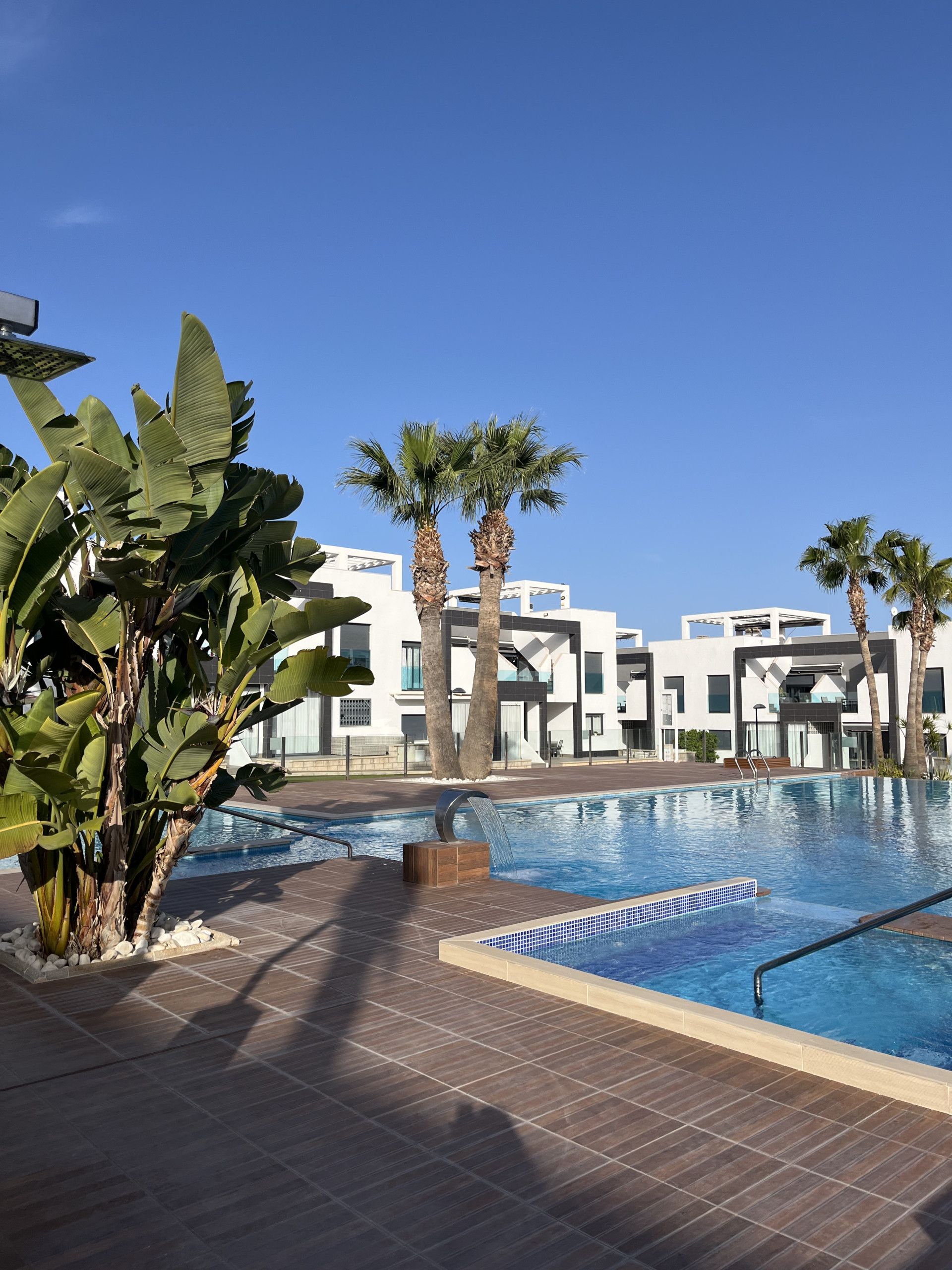 A swimming pool with a modern design, surrounded by palm trees and a building with a contemporary architectural style.