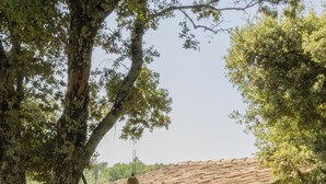 A rustic building with a tiled roof, surrounded by lush greenery and a large tree.