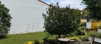 La Mimosa Apartment 2607