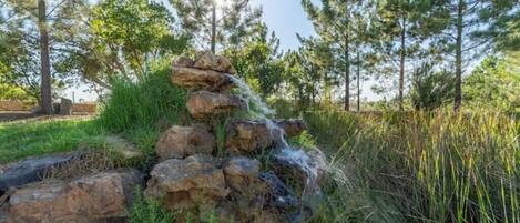 A natural rock formation with a cascading water feature surrounded by grass and pine trees.