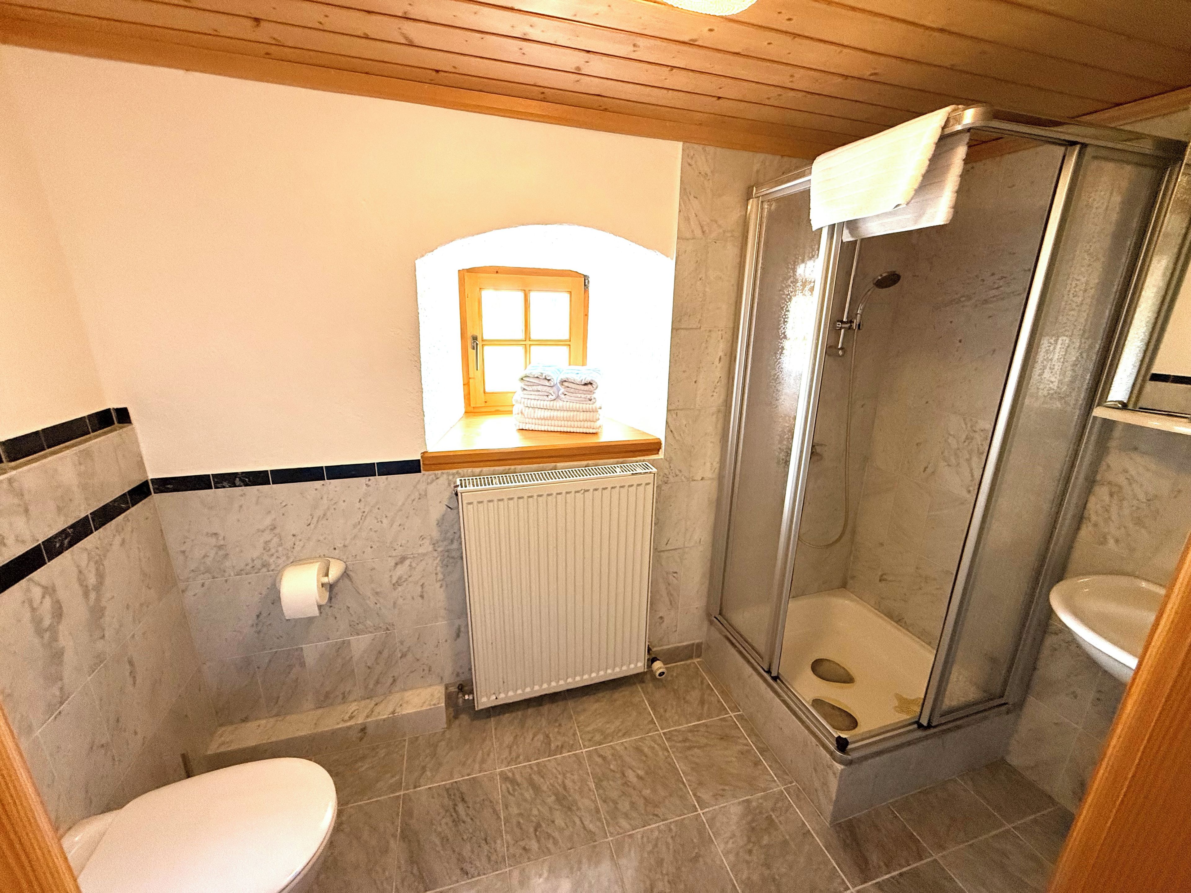 Un baño con inodoro, ducha y radiador.