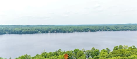 A lake surrounded by dense forest with a clear view of the water.