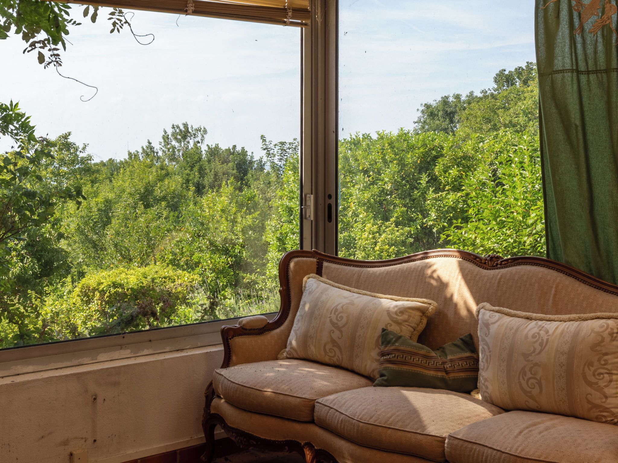 A room with a large window, a vintage sofa, and a view of dense greenery.