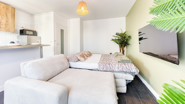 A compact living space with a kitchenette, a bed with patterned bedding, a sofa, and a large plant.