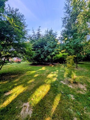A grassy area with trees and a clear sky. - La Passée – House in Sainte-Marguerite-sur-Mer (Sainte-Marguerite-sur-Mer)