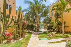 A courtyard with cacti, palm trees, and a paved walkway. - Cerritos Beach Poolside Retreat / 2BR + BBQ (El Pescadero)