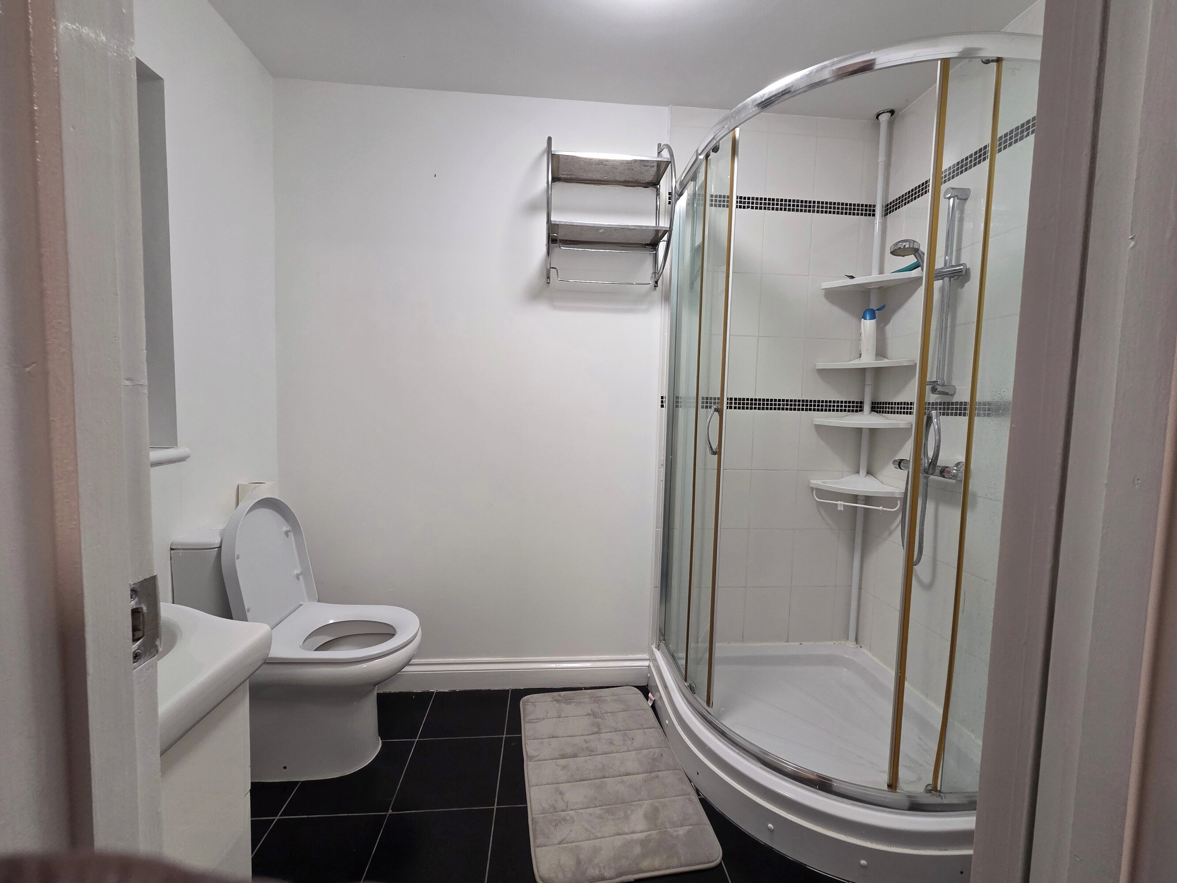 Een badkamer met toilet, een douchecabine en een klein vloerkleed.