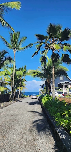 A coastal road lined with palm trees and houses, leading towards the ocean. - Hale Kailani - Perfect Oceanfront Home for Relaxing Stays - Sunrise Views (Keaau)