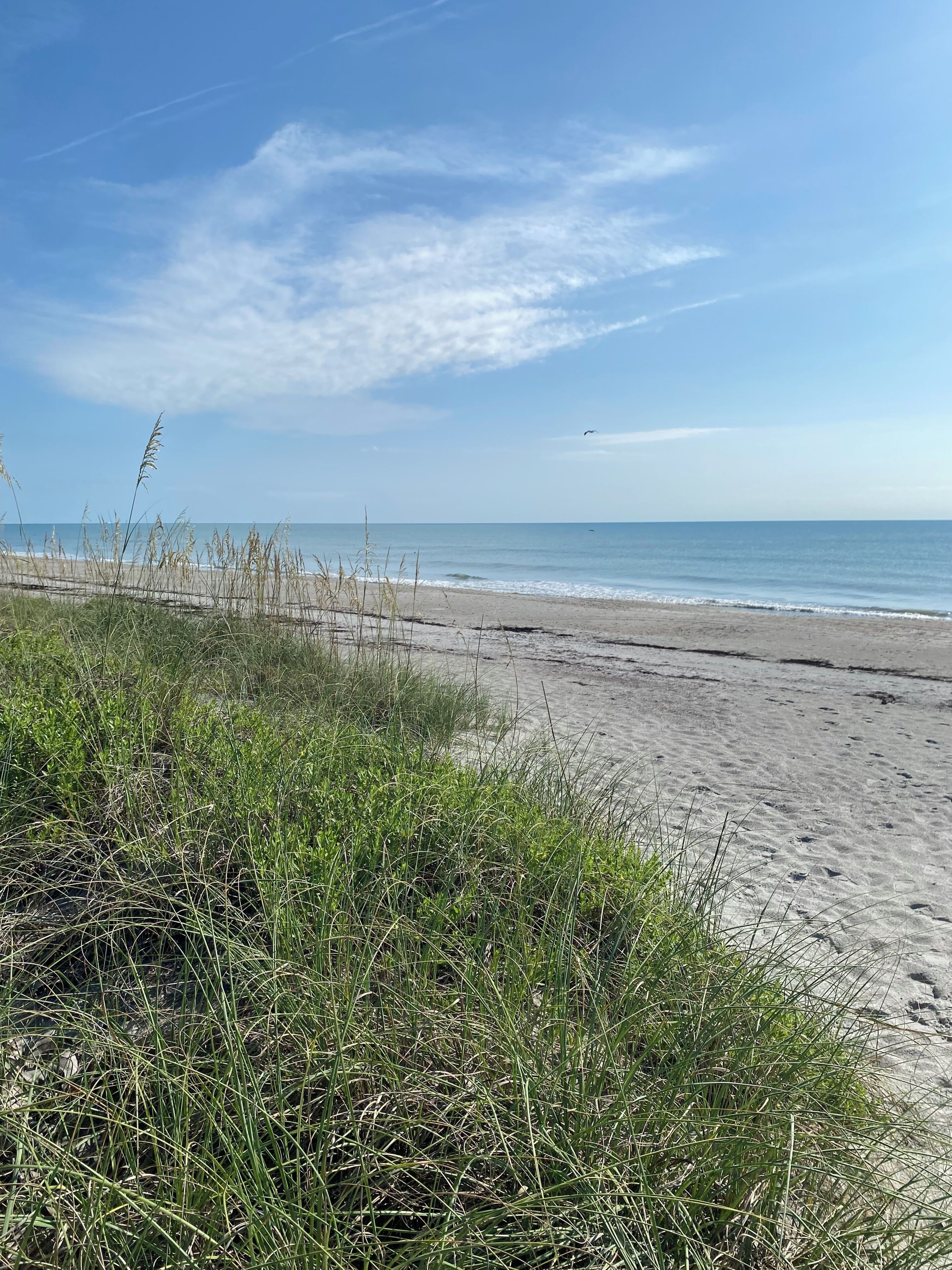 A beach with sand and grass in the foreground, a clear sky, and a calm sea in the background.