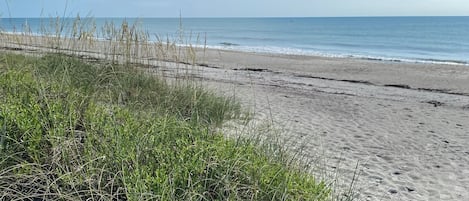 Una playa con arena y hierba al frente, cielo despejado y mar tranquilo al fondo.