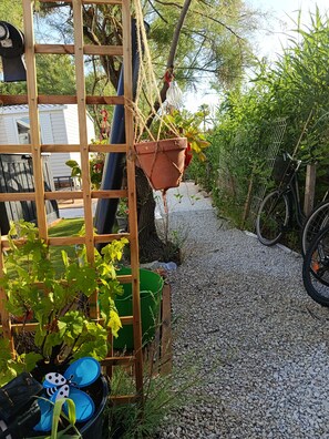 En trädgård med ett trästaket, en hängande blomkruka, en cykel och en grön behållare dekorerad med en fjäril.