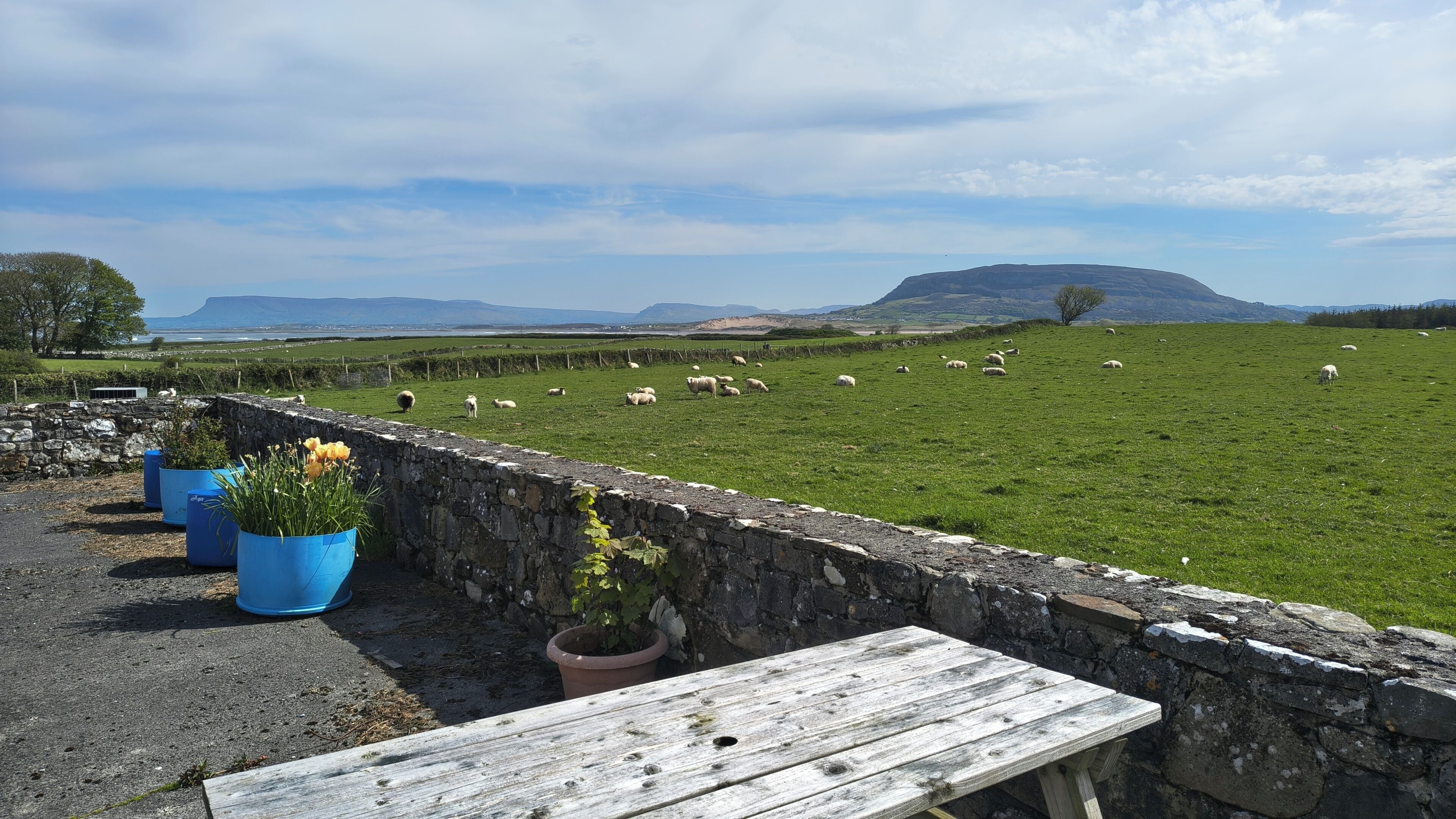 A stone wall with a wooden bench and potted plants, overlooking a green field with sheep.