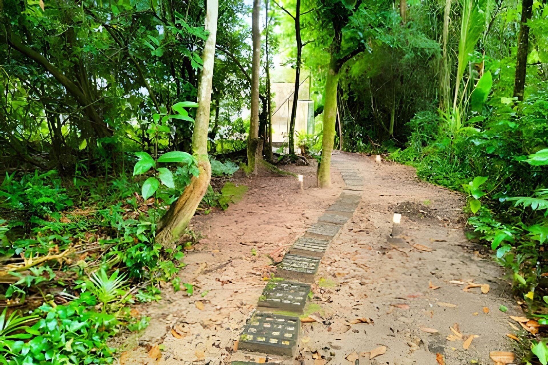 A forested path with a stone walkway.