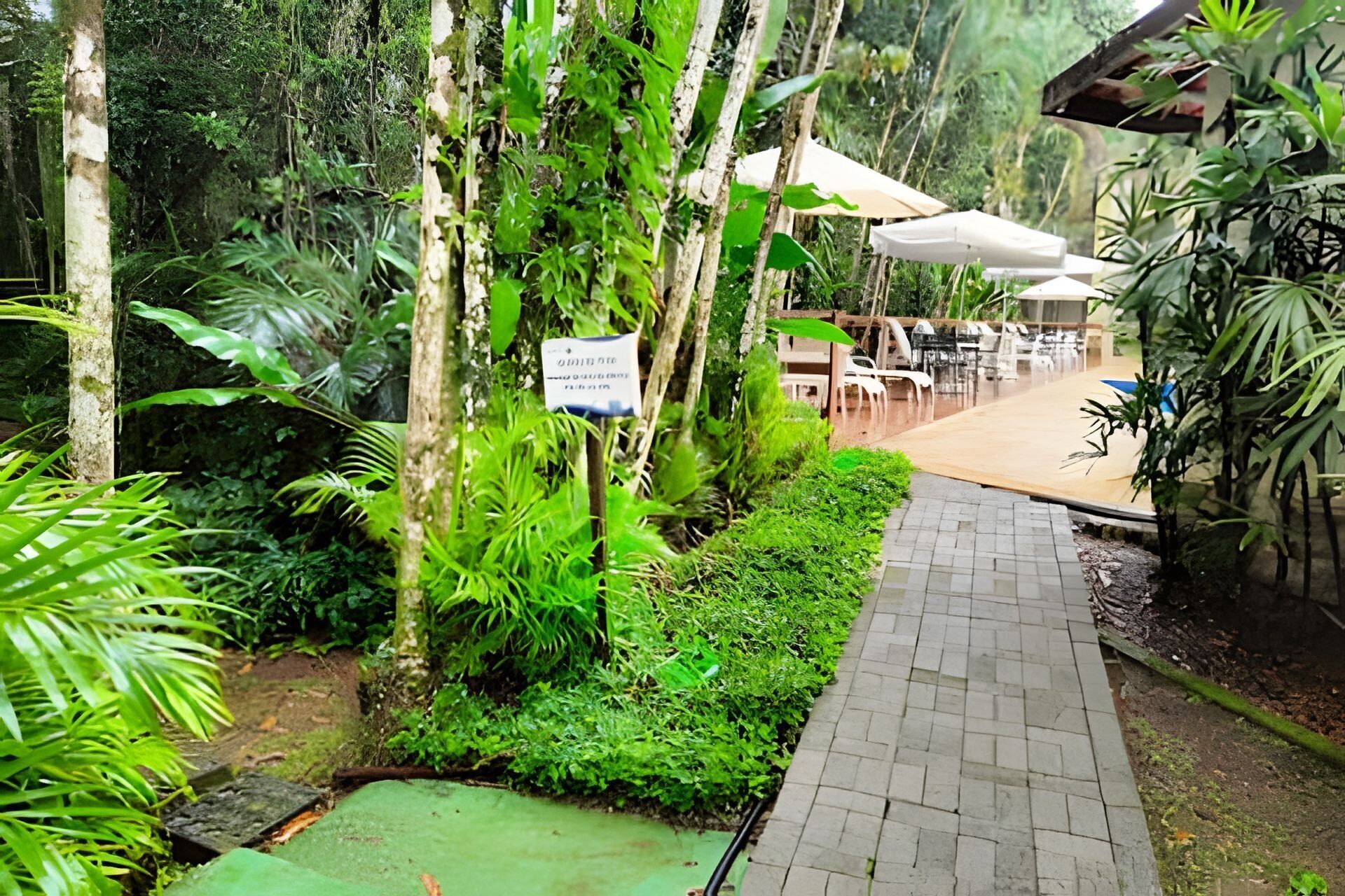 A pathway leading to outdoor seating with umbrellas, surrounded by lush greenery and trees.