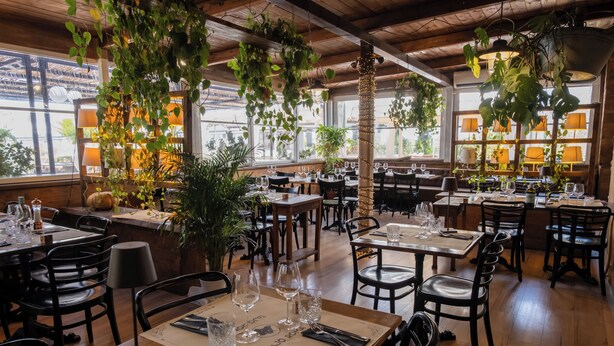 A restaurant interior with wooden tables, chairs, hanging plants, and a view of the outdoors through large windows. - real village roma (Roma)
