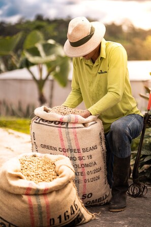 Miscellaneous - Finca Cafetera Los Ángeles (Libano)
