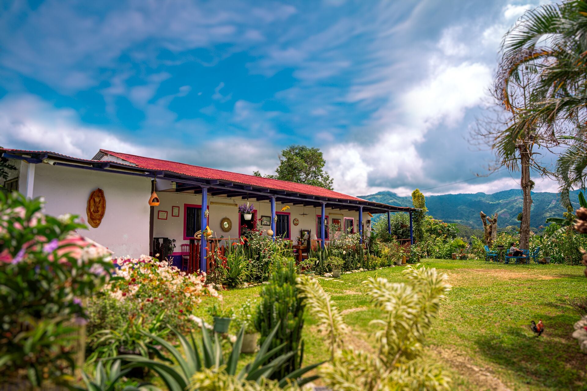 Basic Room, Mountain View | Exterior