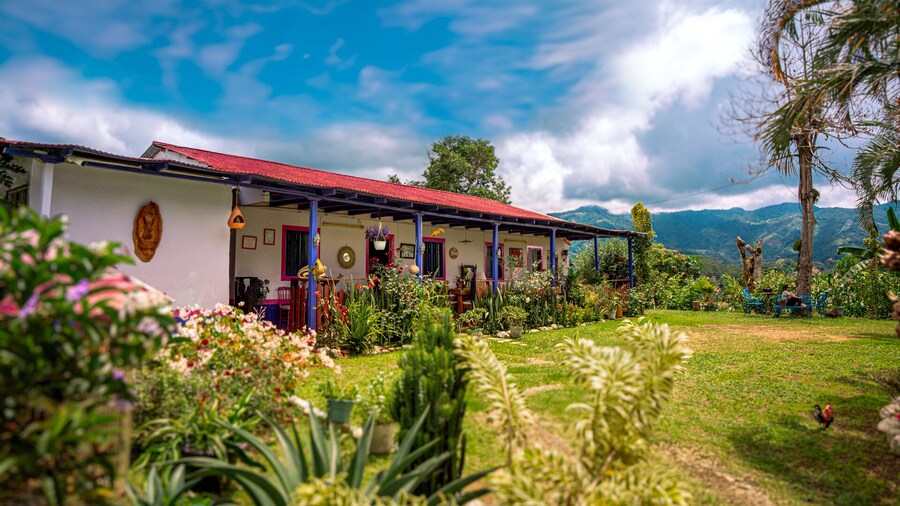 Finca Cafetera Los Ángeles