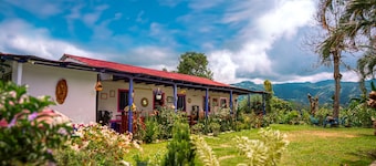 Finca Cafetera Los Ángeles