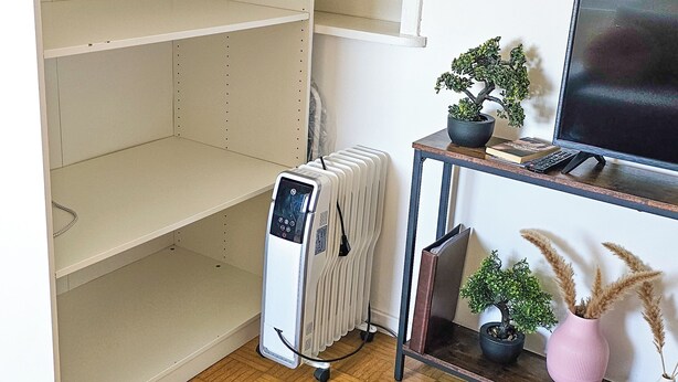 A room with a white radiator, a TV on a wooden stand, and a potted plant. - DG Rechts 40m 2-Zimmer Wohnung (Freilassing)