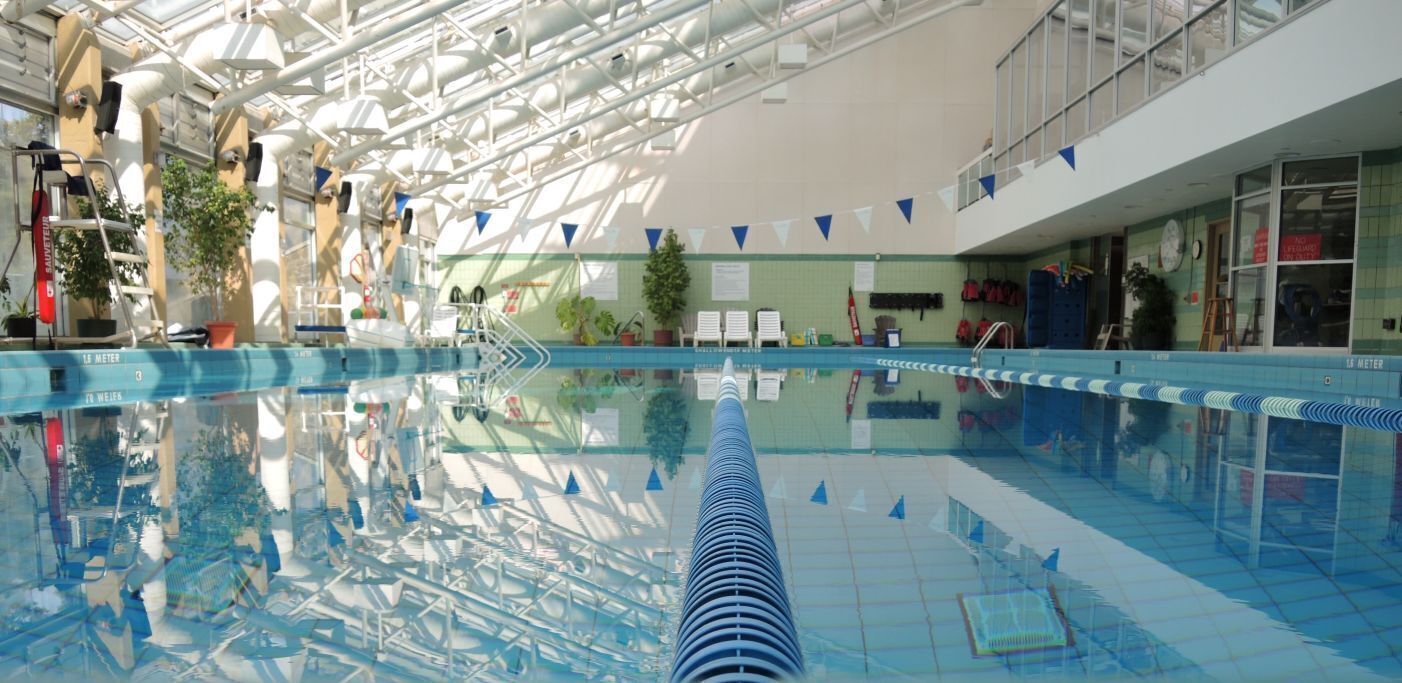 Indoor pool, pool loungers