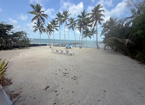 A beach with white lounge chairs, palm trees, and a view of the ocean. - Casa Mar: private beach, pool & kayaks (Key Largo)