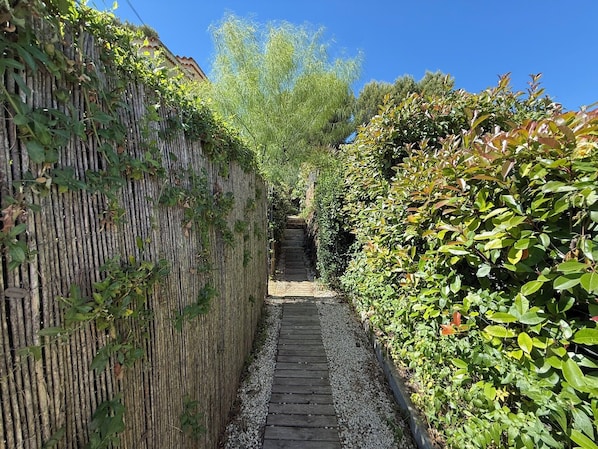 Un étroit sentier en bois, bordé d’une végétation luxuriante et délimité par une clôture en bambou.