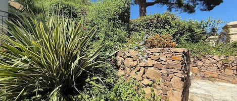 En stenvæg med frodig vegetation og et stort træ i baggrunden.