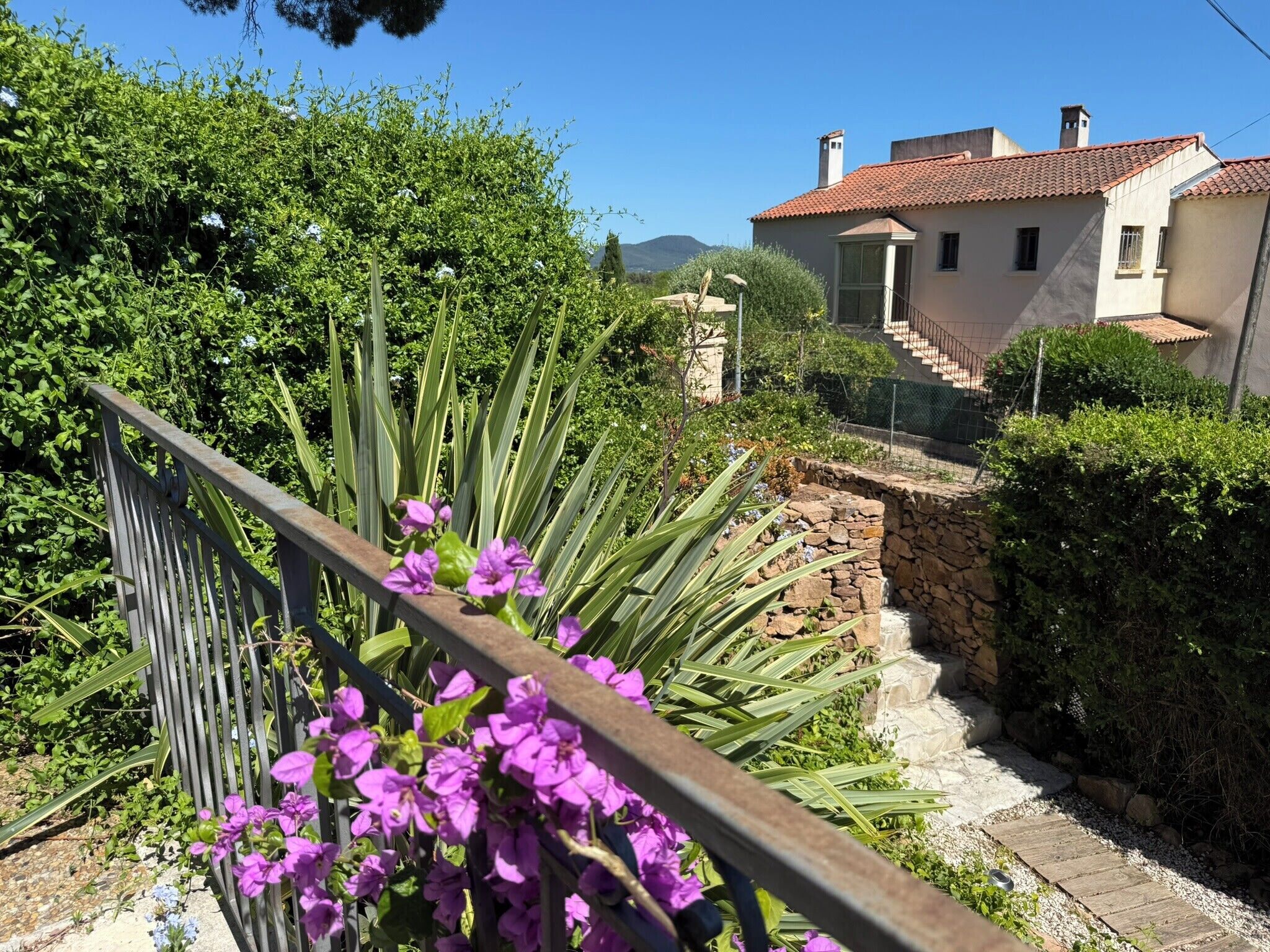 Il s’agit d’une propriété résidentielle dotée d’un escalier en pierre, d’une clôture en métal et d’une variété de plantes, notamment des plantes à fleurs.