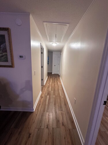 Charming 3-bedroom newly remodeled house nestled in the heart of Pamlico county