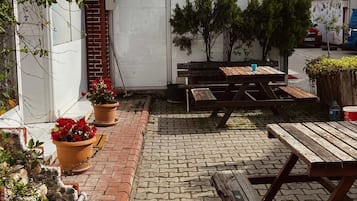 Jardí
