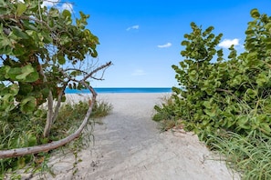 A sandy beach path leading to the ocean with dense foliage on either side. - Sept Deals! Pet Friendly & Hot Tub! Suite A (Indian Rocks Beach)