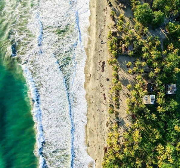 An aerial view of a beach with palm trees and a few buildings.