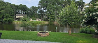 Welcome to Pond Paradise!