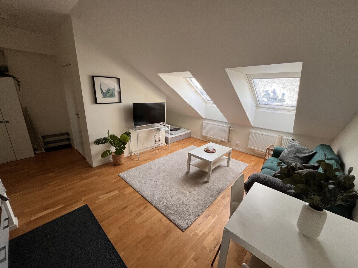 A loft-style apartment with a wooden floor, a white sofa, a small table, a TV, a plant, and skylights.