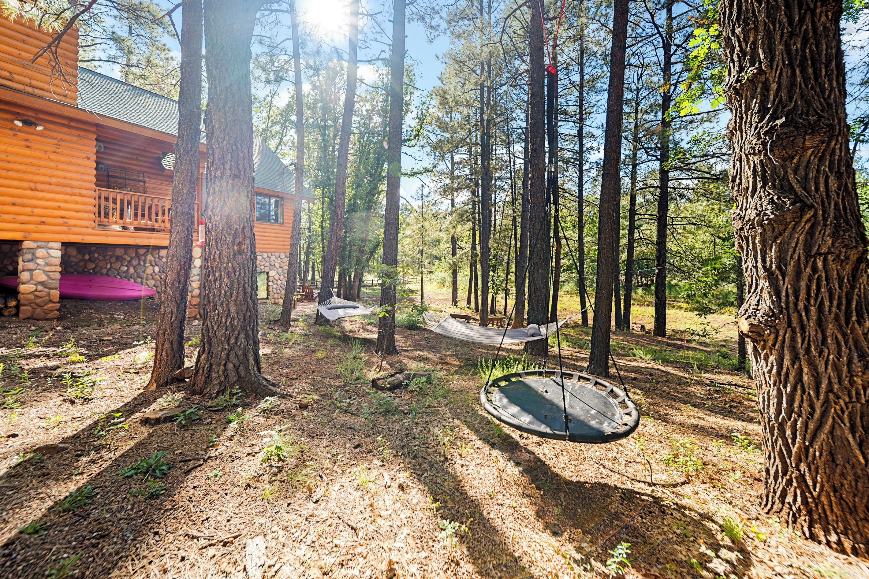 A cabin with a porch, hammocks, and a trampoline in a forest setting.