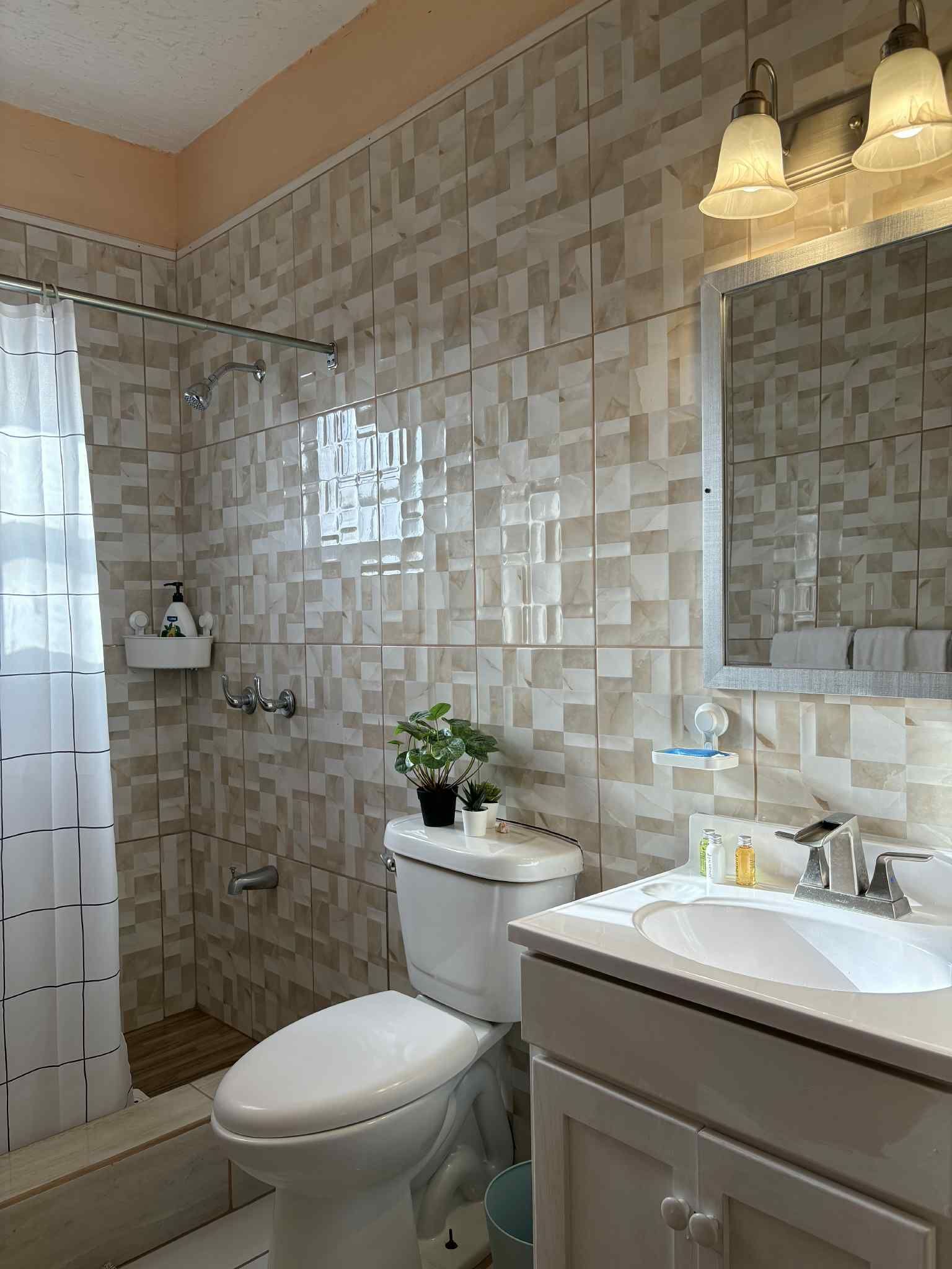 A bathroom with a shower, toilet, sink, and a mirror.