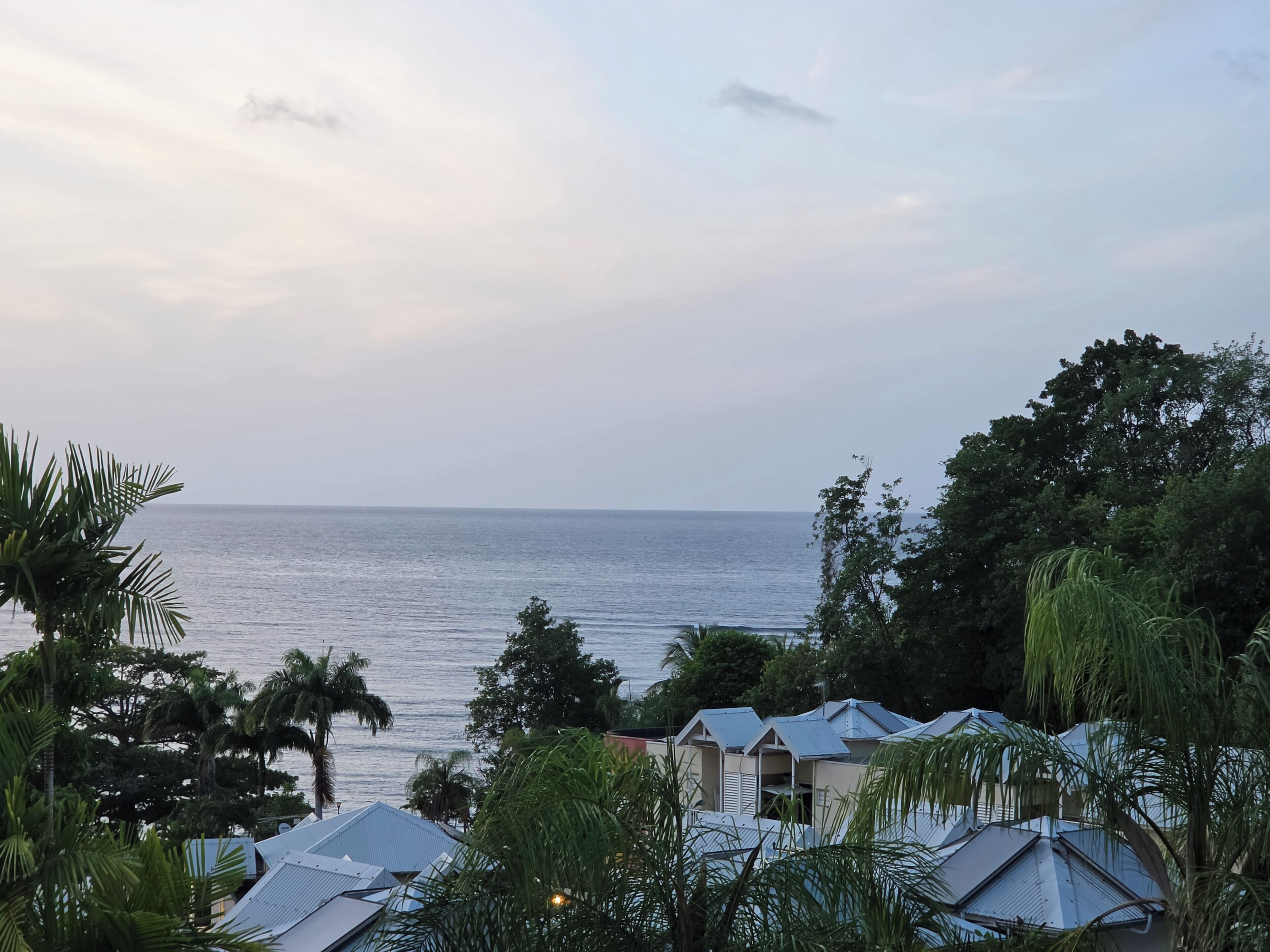A coastal view with houses and palm trees.