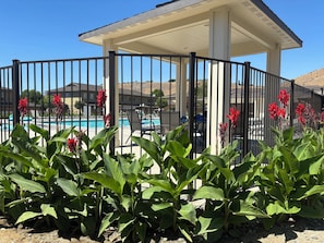 Outdoor pool, a heated pool - Sun-kissed at Sunserra in Crescent Bar on River, Golf, Wineries, Gorge Concerts (Quincy)