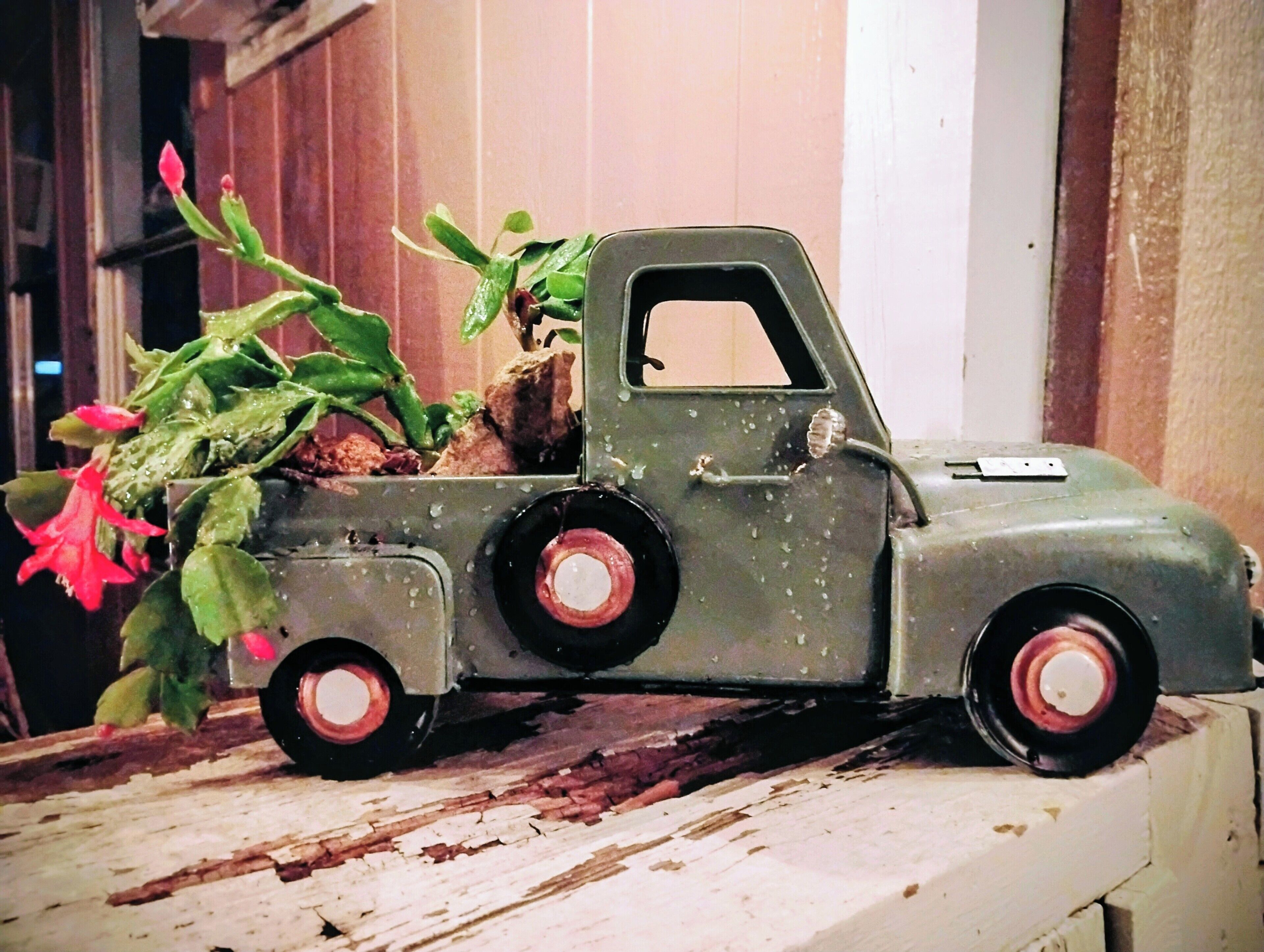 Ein alter Spielzeug-Lkw mit Pflanze darauf, auf einer Holzfläche platziert.