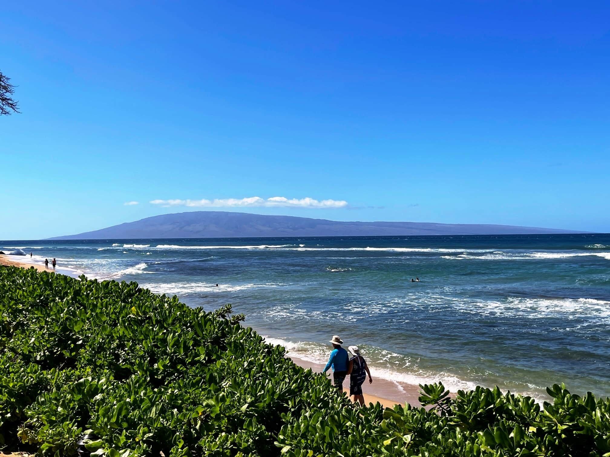 Une plage bordée par les vagues de l’océan, une montagne en arrière-plan et un feuillage verdoyant et dense au premier plan.