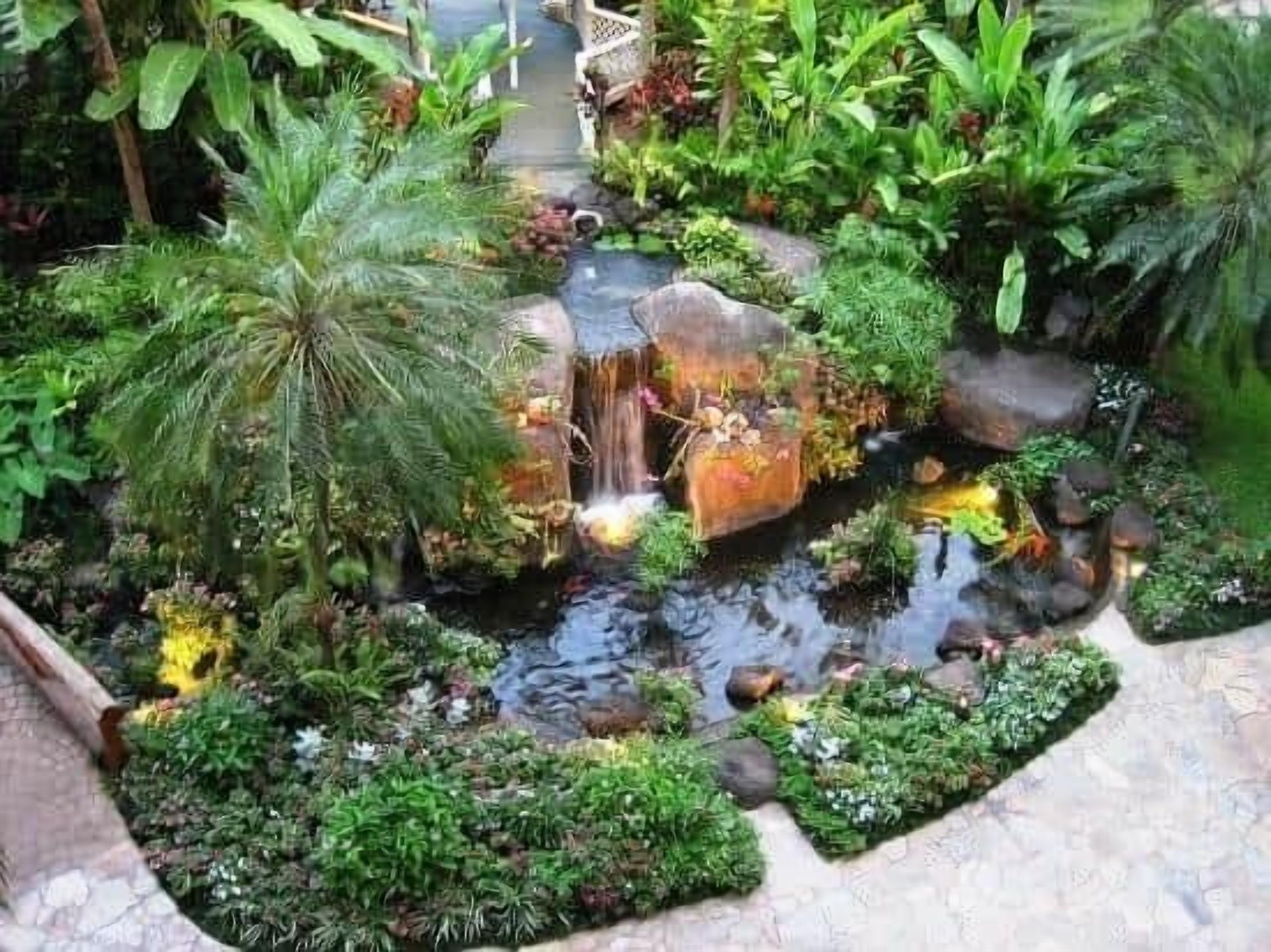 A garden with a pond, rocks, and various plants.