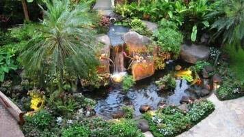 A garden with a pond, rocks, and various plants.