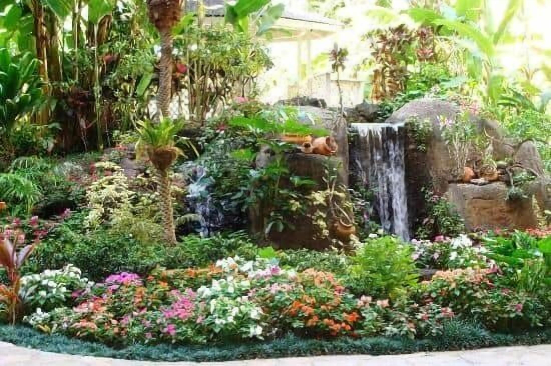 Un jardin agrémenté d’une cascade, de différentes plantes et d’une structure en pierre.