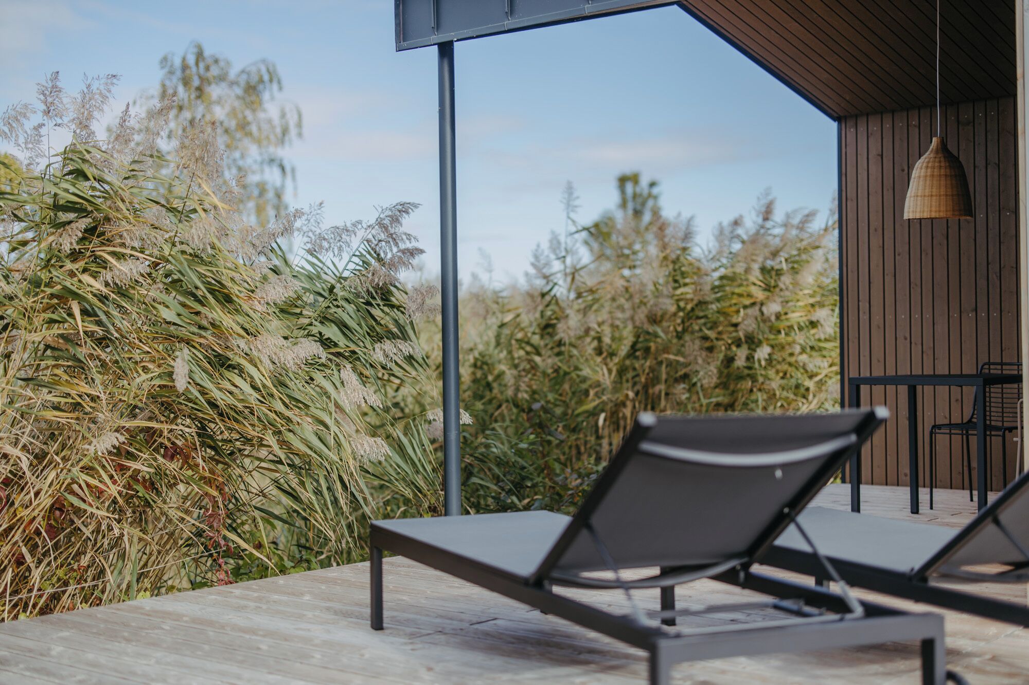 Guesthouses Neuer Strand - Neusiedler See, (Breitenbrunn am Neusiedler See), LHS 14613-Guesthouses Neuer Strand - Schilfblick